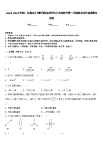 2023-2024学年广东省汕头市科利园实验学校八年级数学第一学期期末综合测试模拟试题含答案