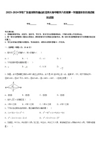 2023-2024学年广东省深圳市南山区北师大附中数学八年级第一学期期末综合测试模拟试题含答案