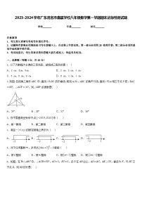 2023-2024学年广东茂名市直属学校八年级数学第一学期期末达标检测试题含答案