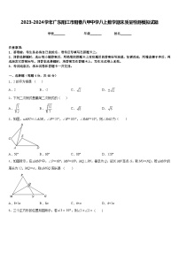 2023-2024学年广东阳江市阳春八甲中学八上数学期末质量检测模拟试题含答案