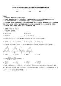 2023-2024学年广西崇左市宁明县八上数学期末经典试题含答案