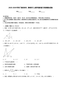 2023-2024学年广西河池市、柳州市八上数学期末复习检测模拟试题含答案