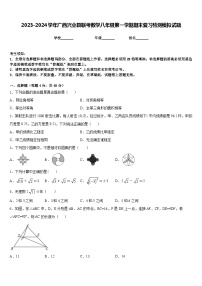 2023-2024学年广西兴业县联考数学八年级第一学期期末复习检测模拟试题含答案