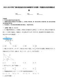 2023-2024学年广西壮族自治区河池天峨县数学八年级第一学期期末达标检测模拟试题含答案