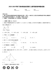 2023-2024学年广西壮族自治区湾县八上数学期末联考模拟试题含答案