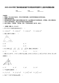 2023-2024学年广西壮族自治区南宁市天桃实验学校数学八上期末考试模拟试题含答案