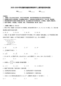 2023-2024学年成都市高新区草池初中八上数学期末统考试题含答案