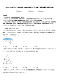 2023-2024学年江苏省南京市南航附中数学八年级第一学期期末检测模拟试题含答案