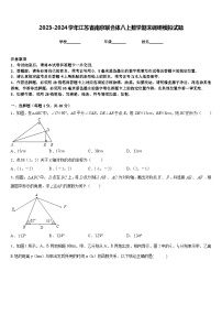 2023-2024学年江苏省南京联合体八上数学期末调研模拟试题含答案