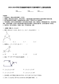 2023-2024学年江苏省南通市海安市八校联考数学八上期末监测试题含答案