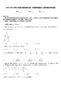 2023-2024学年江苏省无锡市南长实验、侨谊教育集团八上数学期末统考试题含答案