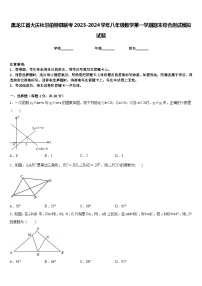 黑龙江省大庆杜尔伯特县联考2023-2024学年八年级数学第一学期期末综合测试模拟试题含答案