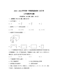 福建省宁德市霞浦县福宁中学2023-2024学年九年级上学期第二次月考数学试题（含解析）