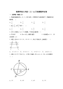 浙江省湖州市南浔区南浔区锦绣实验学校2023-2024学年九年级上学期12月月考数学试题（含解析）