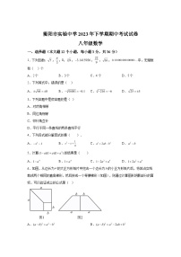 湖南省衡阳市实验中学2023-2024学年八年级上学期期中数学试题（含解析）