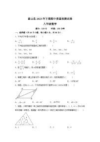 湖南省永州市蓝山县2023-2024学年八年级上学期期中数学试题（含解析）