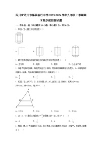 四川省达州市渠县临巴中学2023-2024学年九年级上学期期末数学模拟测试题（含解析）