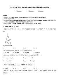 2023-2024学年江苏省苏州市高新区实验八上数学期末检测试题含答案