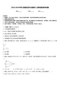 2023-2024学年江西省吉安市永新县八上数学期末联考试题含答案