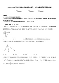 2023-2024学年江西省永修县军山中学八上数学期末综合测试模拟试题含答案