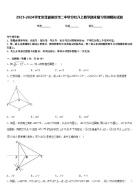 2023-2024学年河北省保定市二中学分校八上数学期末复习检测模拟试题含答案