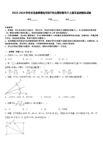 2023-2024学年河北省秦皇岛市抚宁区台营区数学八上期末监测模拟试题含答案