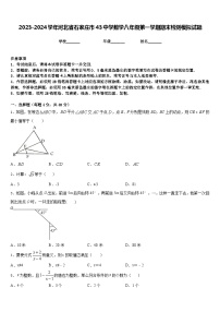 2023-2024学年河北省石家庄市43中学数学八年级第一学期期末检测模拟试题含答案