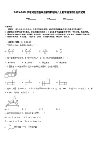 2023-2024学年河北省石家庄新乐县联考八上数学期末综合测试试题含答案