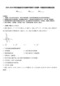 2023-2024学年河南省开封市金明中学数学八年级第一学期期末检测模拟试题含答案