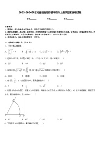 2023-2024学年河南省南阳市镇平县八上数学期末调研试题含答案