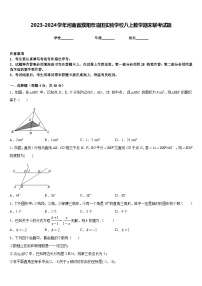 2023-2024学年河南省濮阳市油田实验学校八上数学期末联考试题含答案