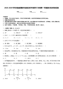 2023-2024学年河南省濮阳市油田实验学校数学八年级第一学期期末质量检测试题含答案