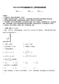 2023-2024学年河南省商丘市八上数学期末调研试题含答案