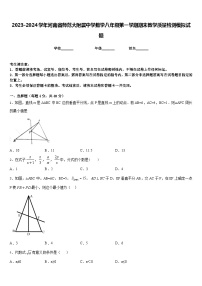 2023-2024学年河南省师范大附属中学数学八年级第一学期期末教学质量检测模拟试题含答案