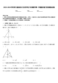 2023-2024学年浙江省杭州大江东各学校八年级数学第一学期期末复习检测模拟试题含答案