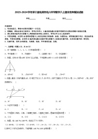 2023-2024学年浙江省杭州市杭六中学数学八上期末统考模拟试题含答案