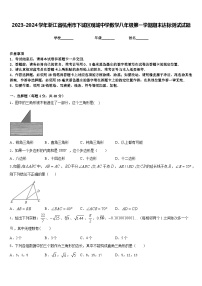 2023-2024学年浙江省杭州市下城区观城中学数学八年级第一学期期末达标测试试题含答案