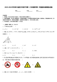 2023-2024学年浙江省嘉兴市海宁市第一八年级数学第一学期期末调研模拟试题含答案