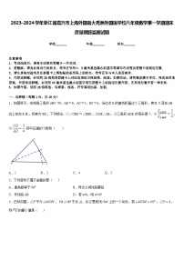 2023-2024学年浙江省嘉兴市上海外国语大秀洲外国语学校八年级数学第一学期期末质量跟踪监视试题含答案