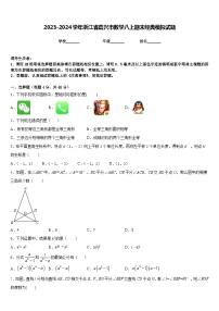 2023-2024学年浙江省嘉兴市数学八上期末经典模拟试题含答案