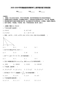 2023-2024学年海南省定安县联考八上数学期末复习检测试题含答案