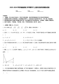 2023-2024学年海南省海口中学数学八上期末质量检测模拟试题含答案