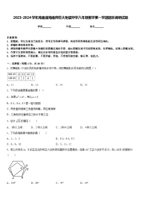 2023-2024学年海南省海南师范大附属中学八年级数学第一学期期末调研试题含答案