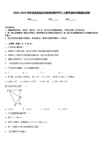 2023-2024学年湖北恩施龙凤民族初级中学八上数学期末经典模拟试题含答案