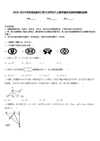 2023-2024学年湖北省天门市江汉学校八上数学期末质量检测模拟试题含答案