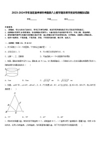 2023-2024学年湖北省孝感市孝昌县八上数学期末教学质量检测模拟试题含答案