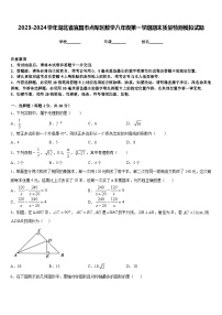 2023-2024学年湖北省宜昌市点军区数学八年级第一学期期末质量检测模拟试题含答案