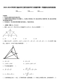 2023-2024学年浙江省金华市兰溪市实验中学八年级数学第一学期期末达标检测试题含答案