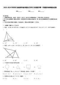 2023-2024学年浙江省湖州市南浔镇东迁中学八年级数学第一学期期末调研模拟试题含答案