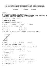 2023-2024学年浙江省衢州市教联盟体数学八年级第一学期期末检测模拟试题含答案